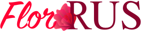 Доставка цветов Нарьян-Мар